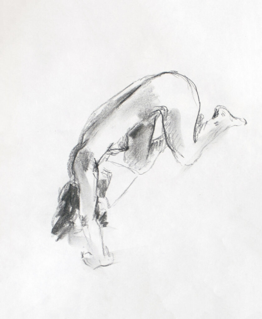 Sketching | 30/50 - 20/30