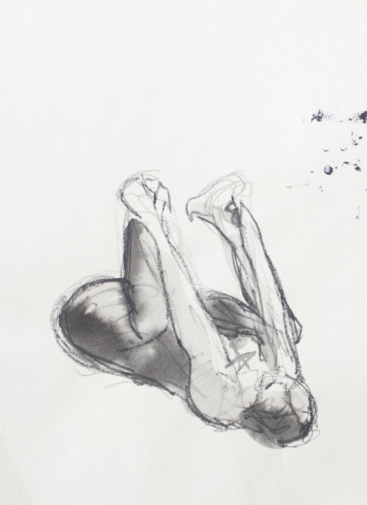 Sketching | 30/50 - 20/30